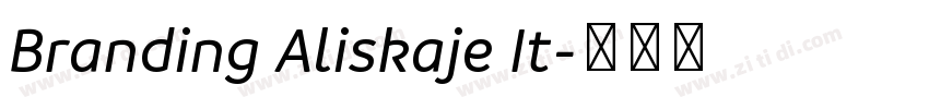 Branding Aliskaje It字体转换